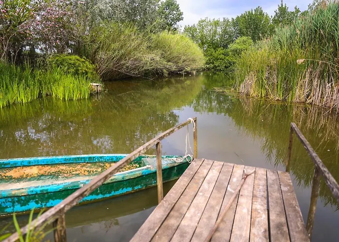 Paradis De Montse *